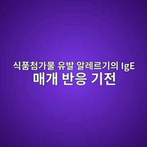 식품첨가물 유발 알레르기의 IgE 매개 반응 기전 4 ec8b9ded9288ecb2a8eab080ebacbc ec9ca0ebb09c ec958ceba088eba5b4eab8b0ec9d98 ige eba7a4eab09c ebb098ec9d91 eab8b0eca084 1787871544