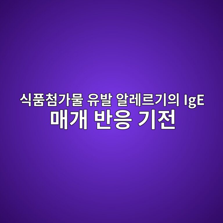 ec8b9ded9288ecb2a8eab080ebacbc ec9ca0ebb09c ec958ceba088eba5b4eab8b0ec9d98 ige eba7a4eab09c ebb098ec9d91 eab8b0eca084 1787871544
