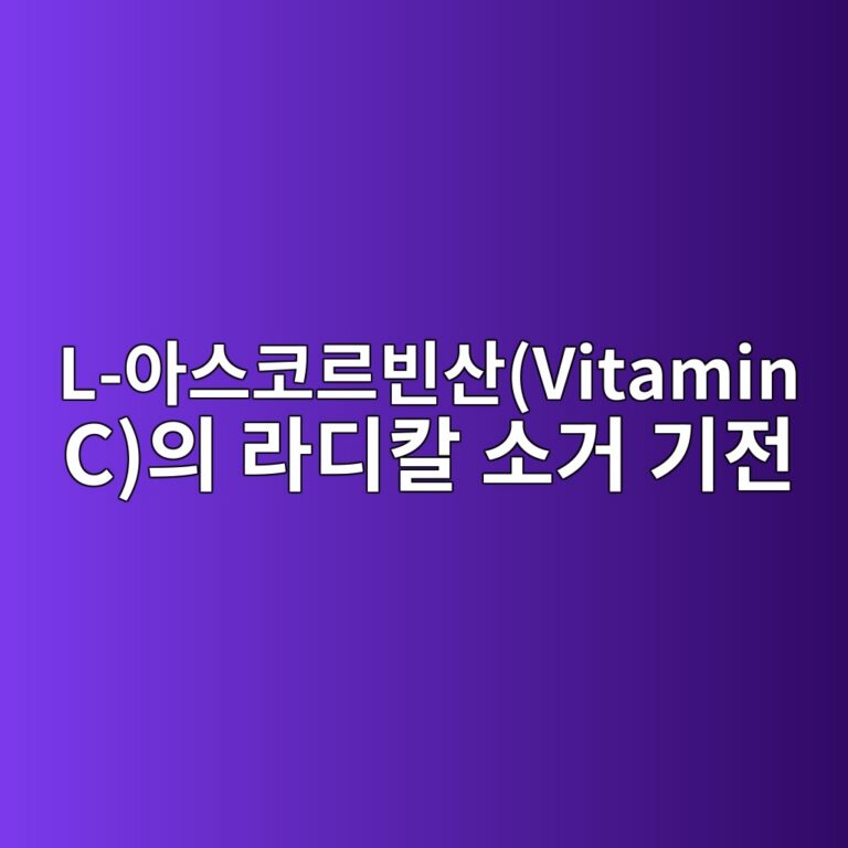 l ec9584ec8aa4ecbd94eba5b4ebb988ec82b0vitamin cec9d98 eb9dbceb9494ecb9bc ec868ceab1b0 eab8b0eca084 1786661370